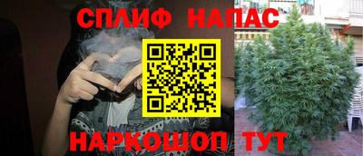 PSILOCYBIN Жуковский