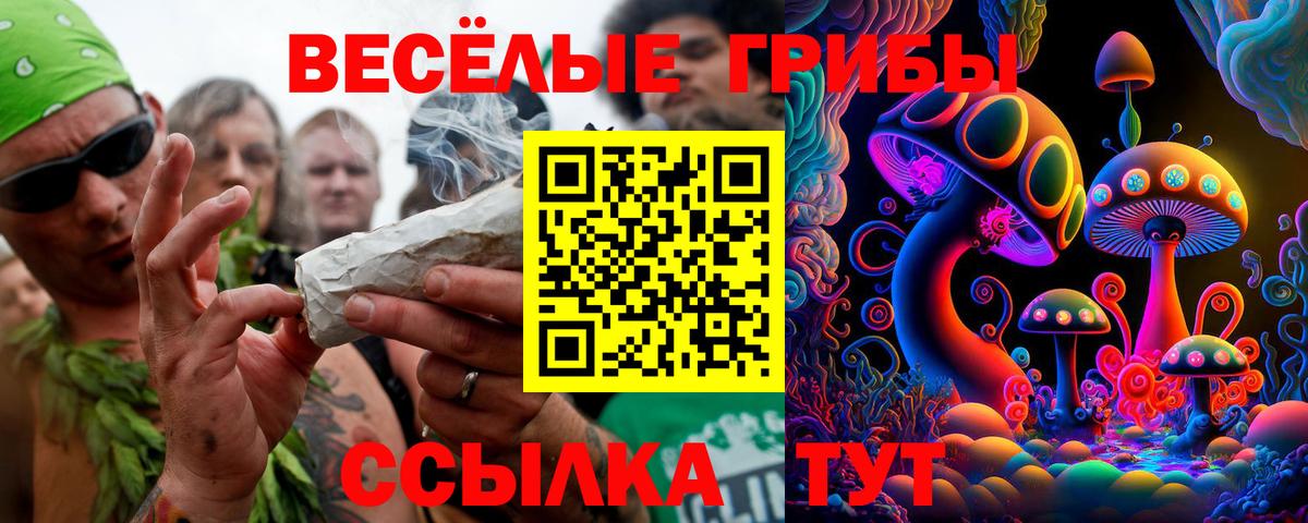 Псилоцибиновые грибы MAGIC MUSHROOMS  Вход с VPN  Лениногорск 